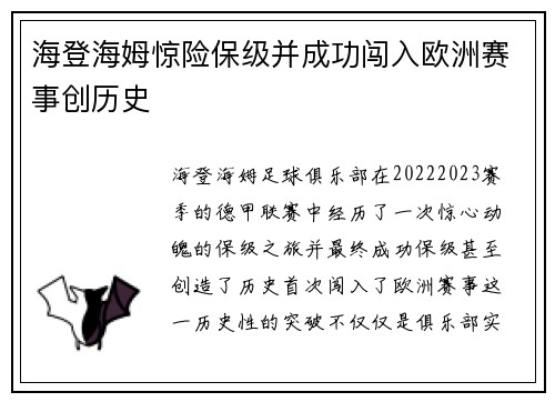 海登海姆惊险保级并成功闯入欧洲赛事创历史